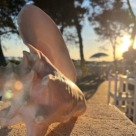 Semesterbostad Vento Del Sud *