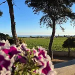 Vento Del Sud *